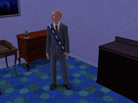 sims 3 political career|Politics .